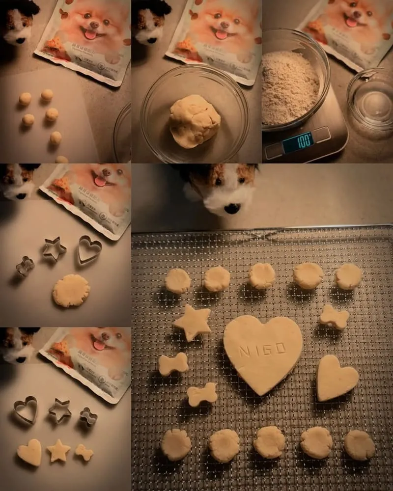 沛森 Petson 寵物烘焙 DIY 預拌粉