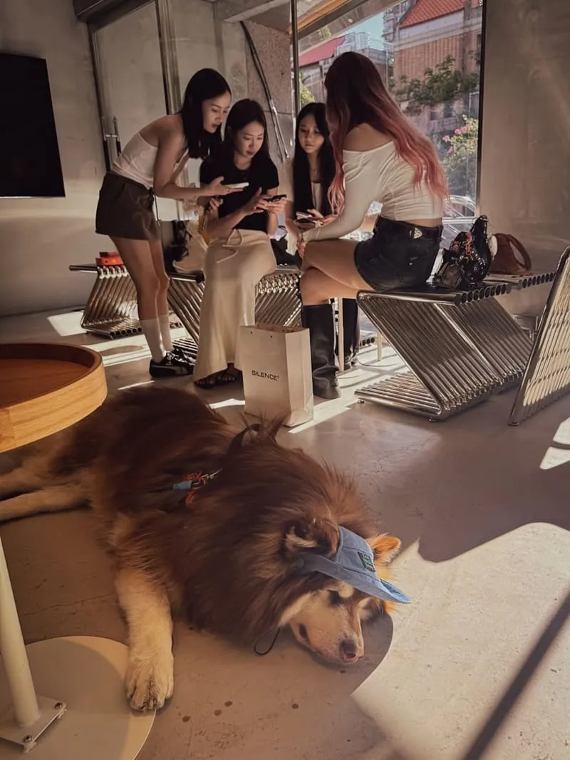 SeedDown Please Cafe 單車咖啡廳