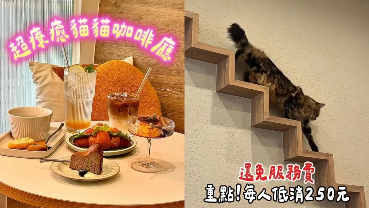 繆斯緬絪 毛伴小食所