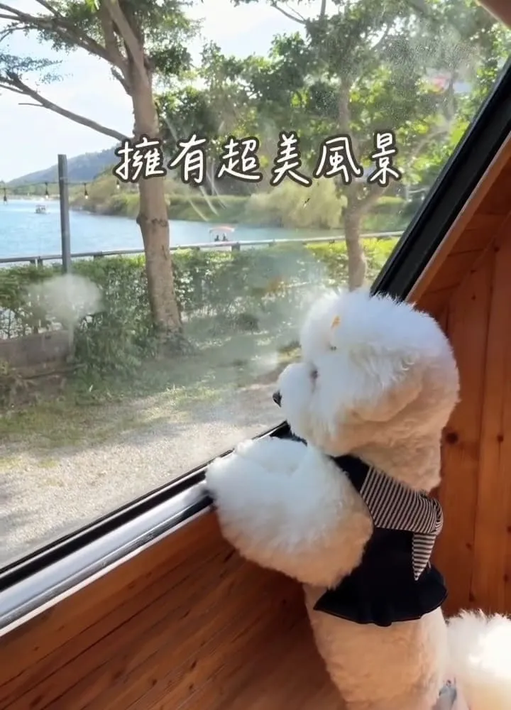 黑屋CAMP 花蓮露營車住宿