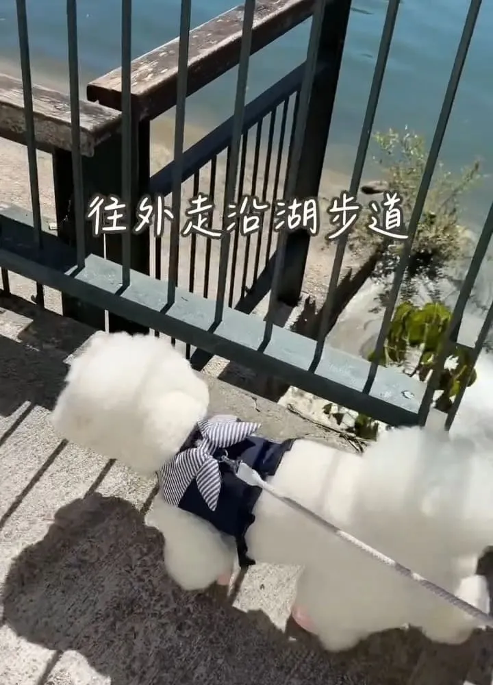 黑屋CAMP 花蓮露營車住宿