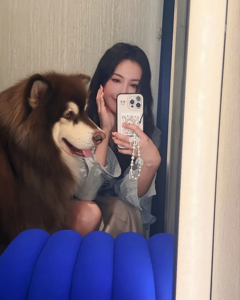 HOLO+FACE 人寵寫真