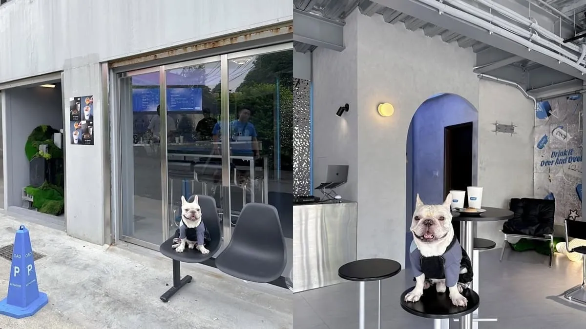 OAO Coffee & Bar 中壢中原