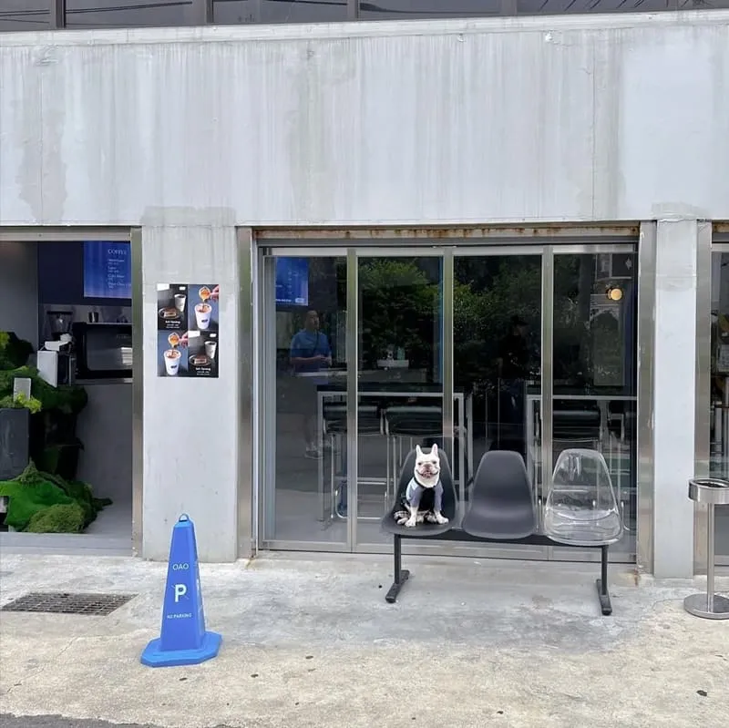 OAO Coffee & Bar 中壢中原