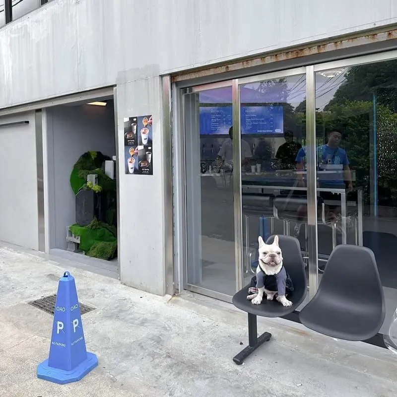 OAO Coffee & Bar 中壢中原