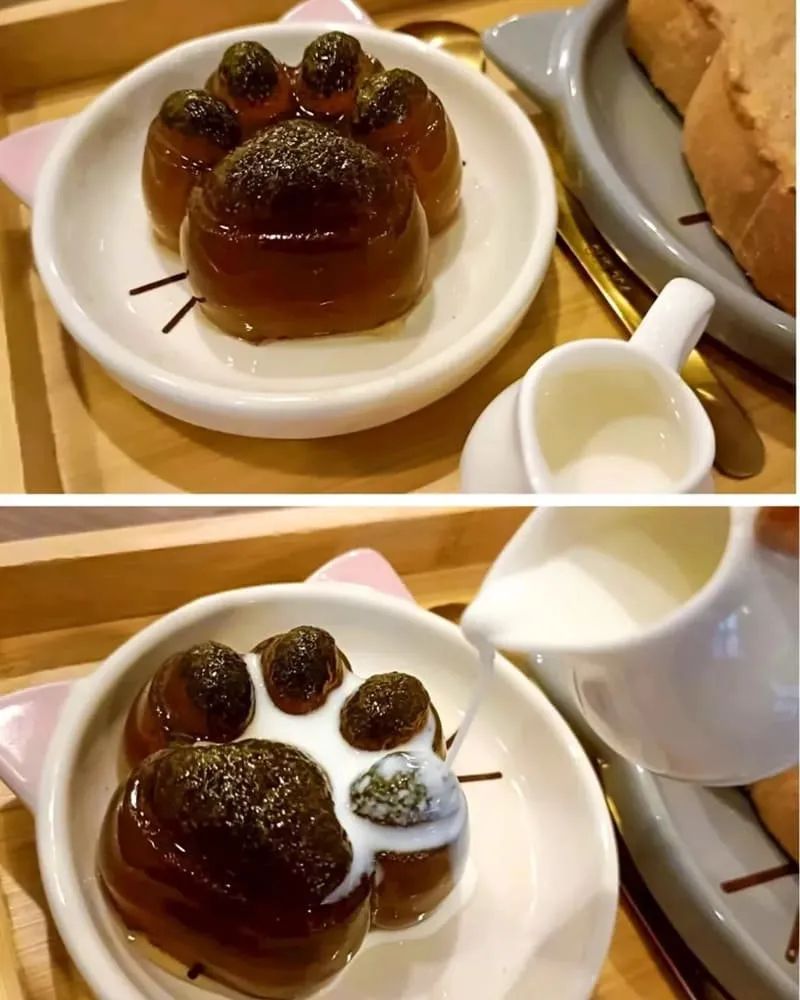 幸緻貓茶館 石碇冠軍茶
