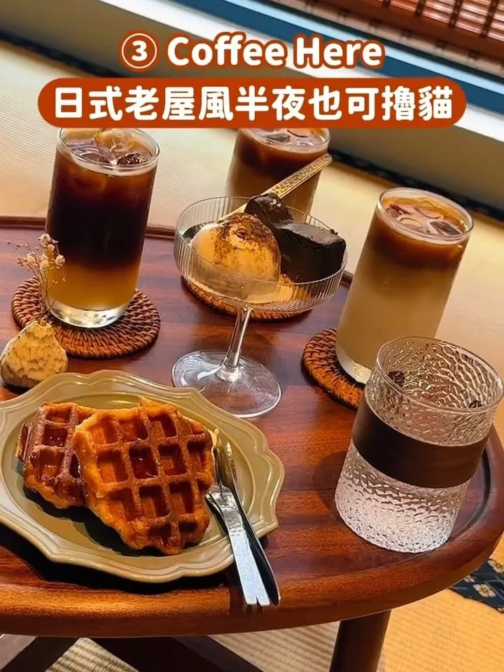 台中貓咪咖啡廳推薦