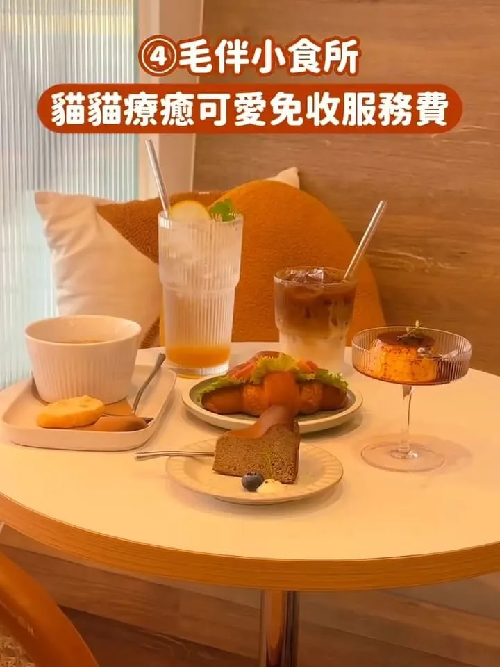 台中貓咪咖啡廳推薦