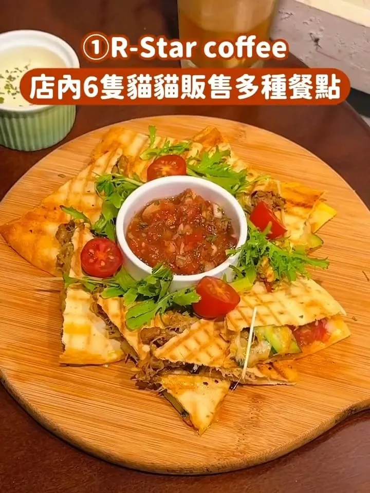 台中貓咪咖啡廳推薦
