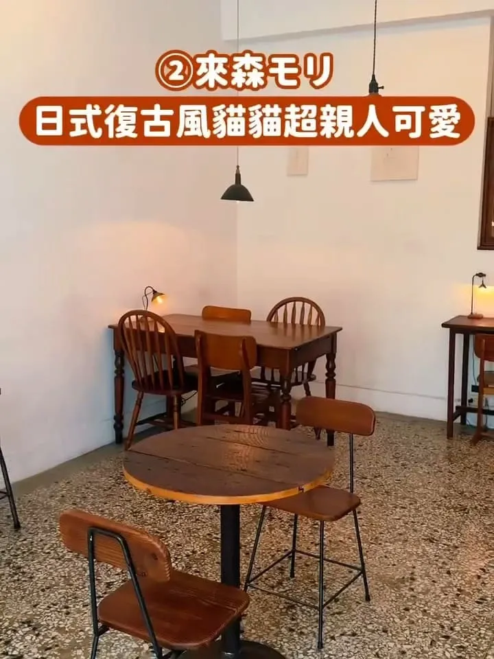 台中貓咪咖啡廳推薦