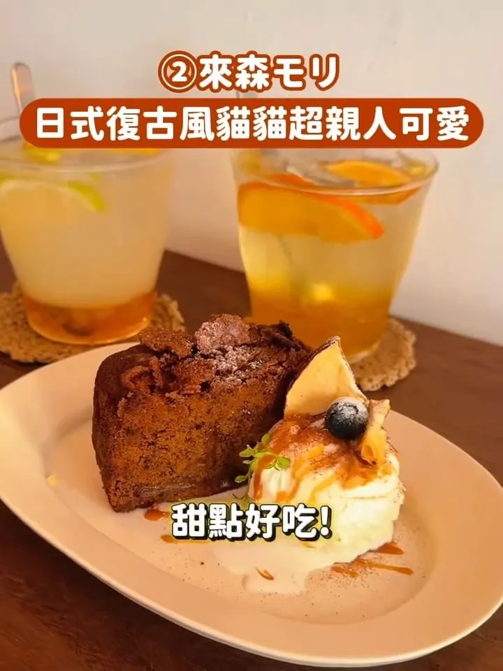 台中貓咪咖啡廳推薦