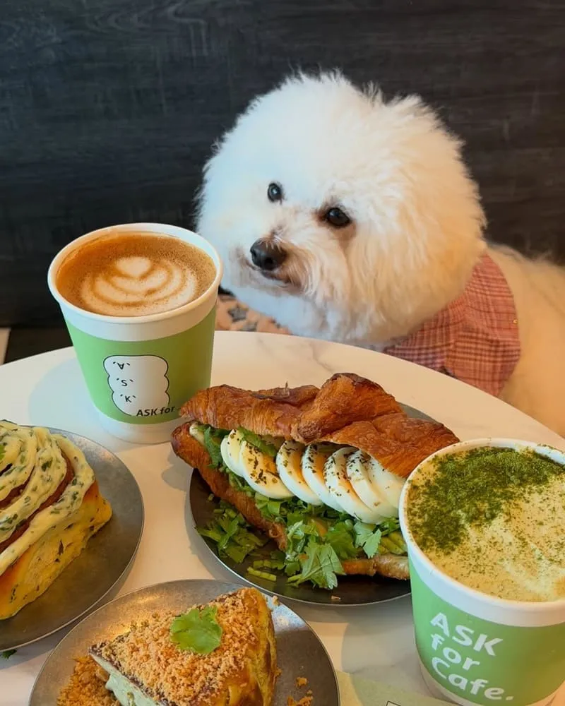 ASK for Cafe | 寵物友善餐廳