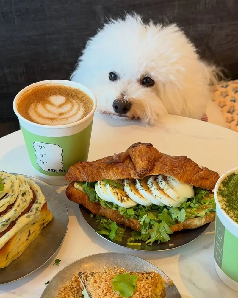 ASK for Cafe | 寵物友善餐廳