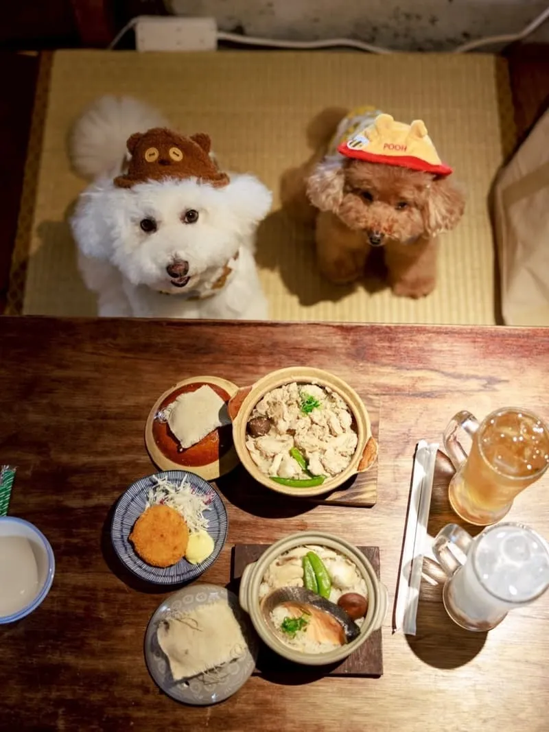 海森 Hisun|嘉義老宅日式食堂