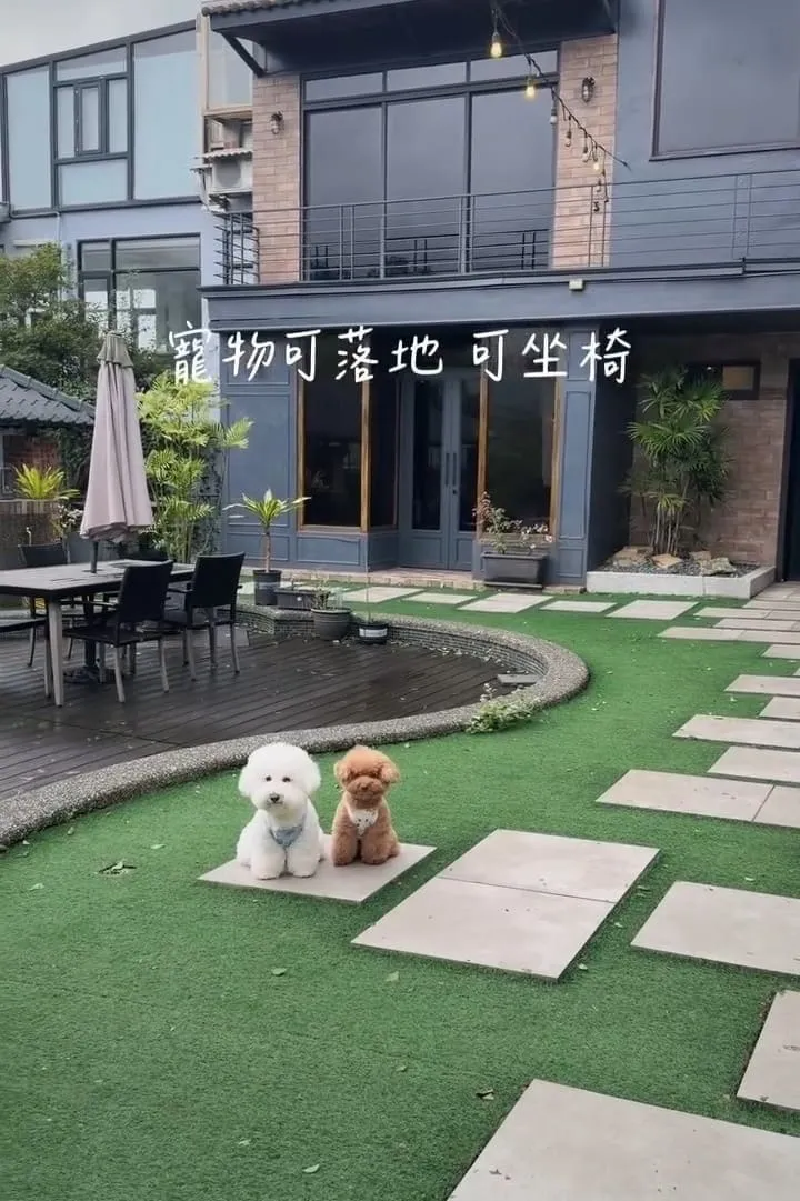 金山猿咖啡 金山景觀庭園咖啡廳