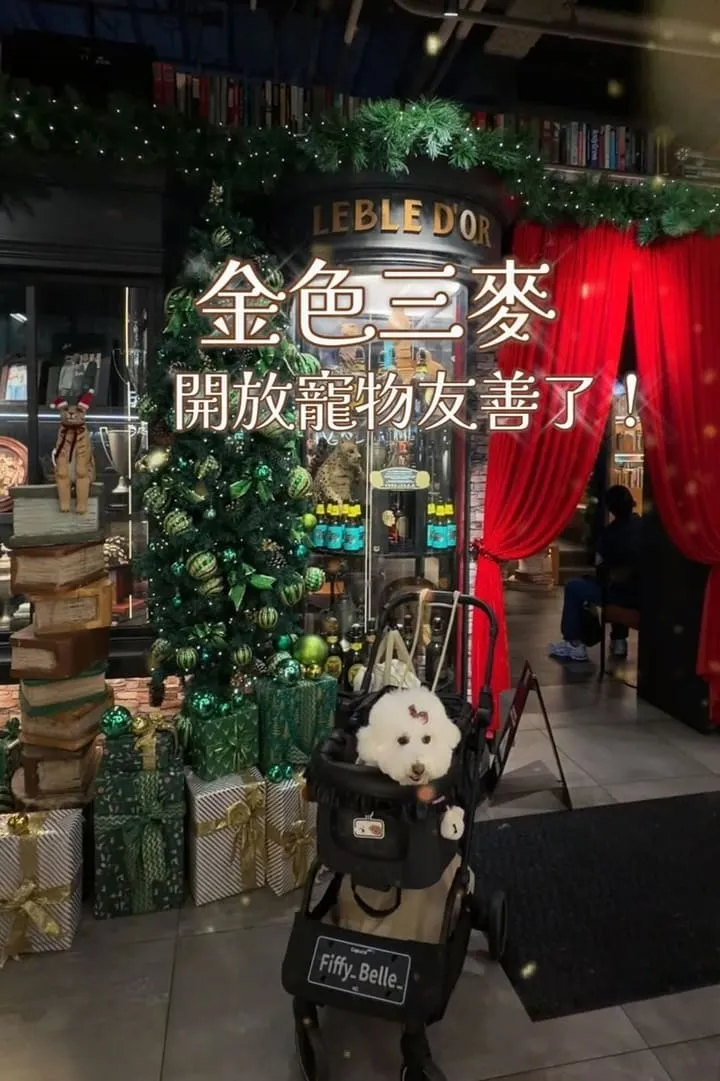 金色三麥 桃園藝文店