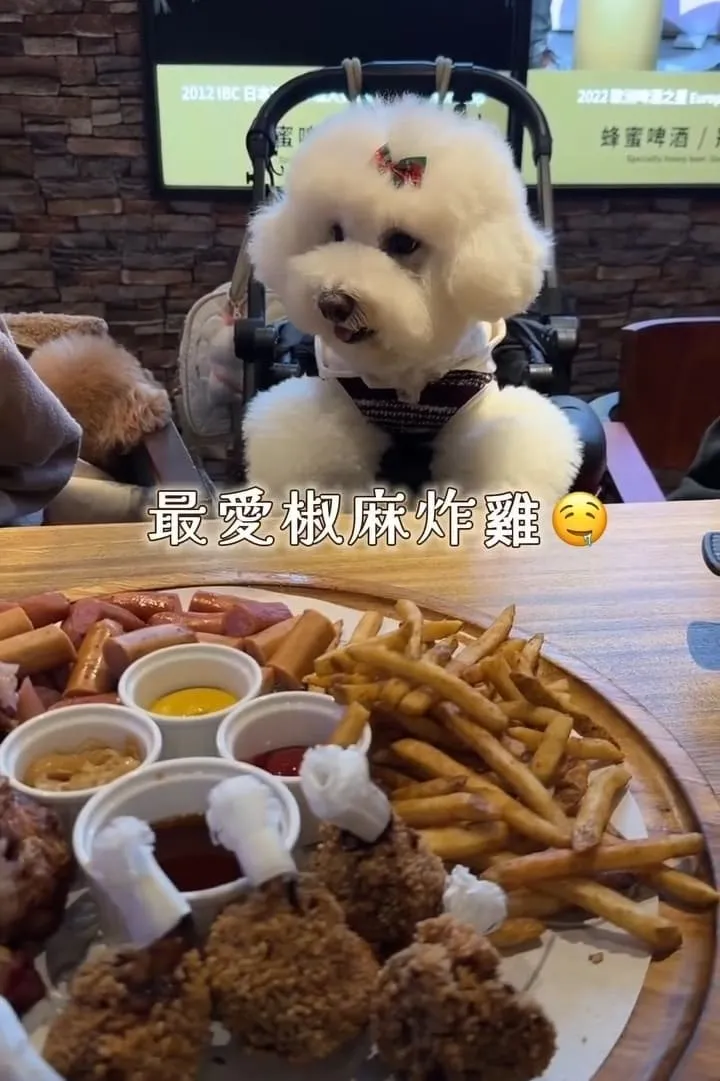 金色三麥 桃園藝文店