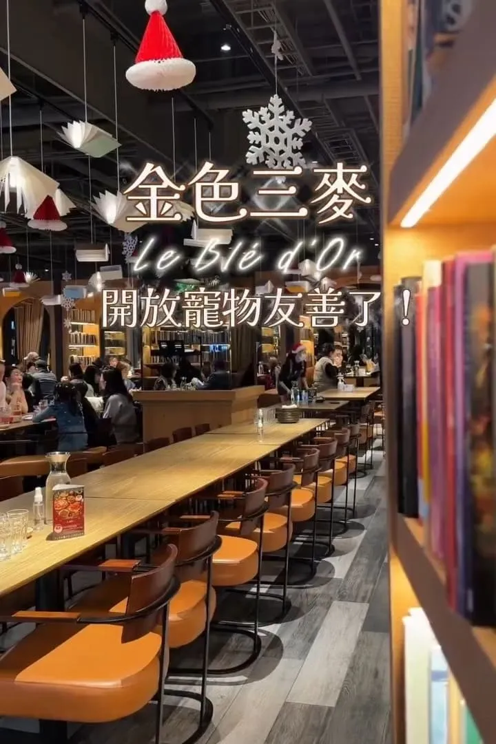 金色三麥 桃園藝文店