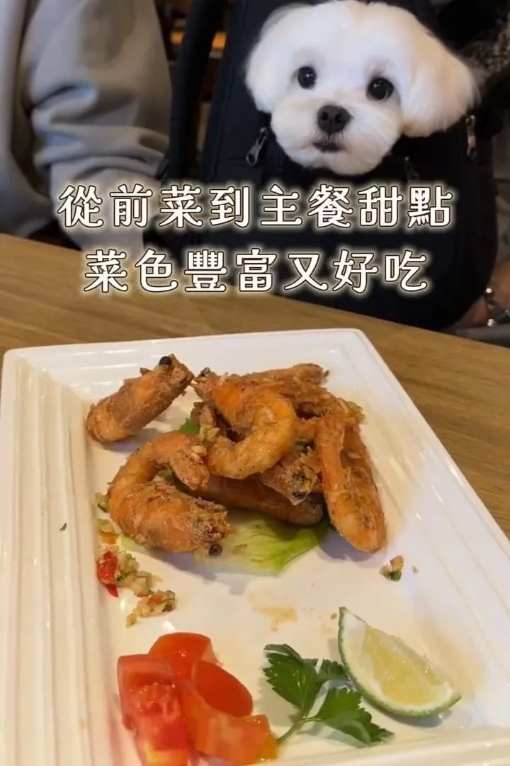 金色三麥 桃園藝文店