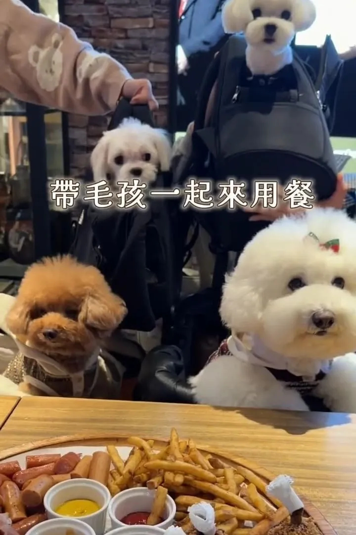 金色三麥 桃園藝文店