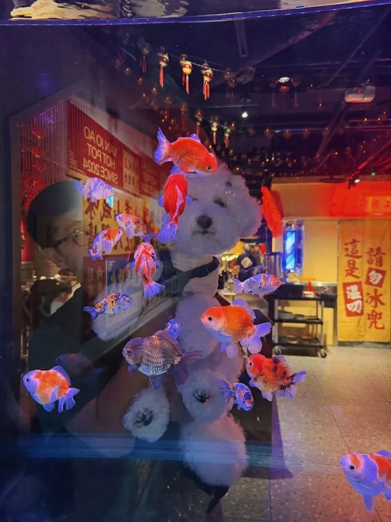 溫久熬老火鍋館