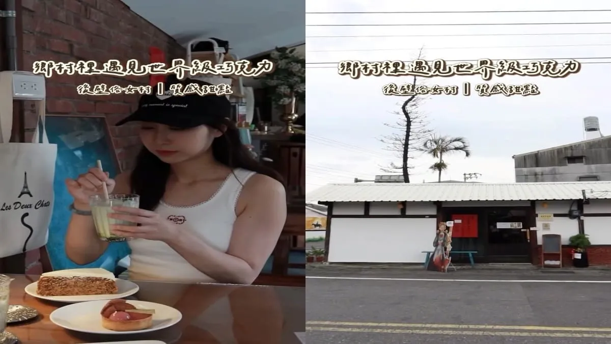 稻甜找貓貓